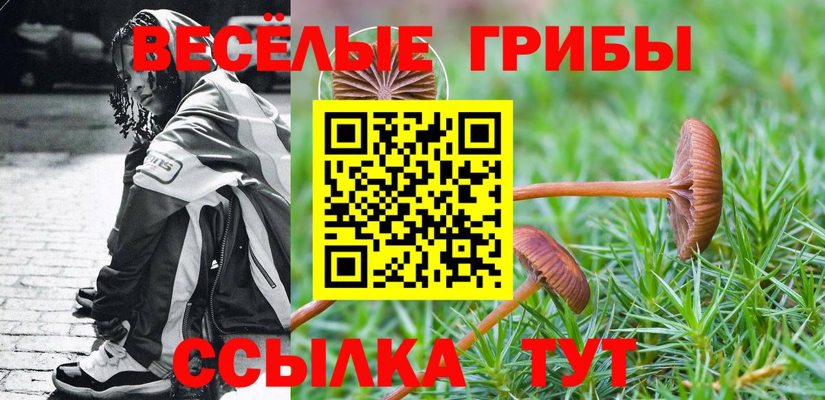 Коммунар  где купить наркоту  Вход с VPN  Псилоцибиновые грибы мухоморы 